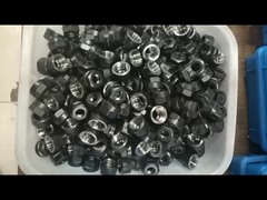 การจับ ER NUT